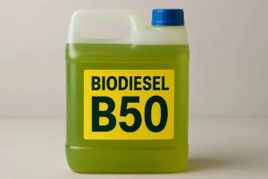 B50 Berhasil. Sebelum Berlari ke B60, Ada Baiknya Kita Menoleh ke Belakang  Belajar dari Biodiesel, Hutan, dan Sebuah Bangsa yang Selalu Tergoda Mengejar Angka