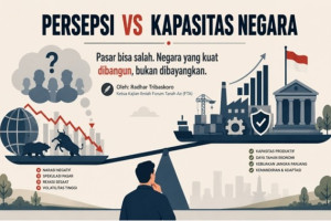 Persepsi vs Kapasitas Negara