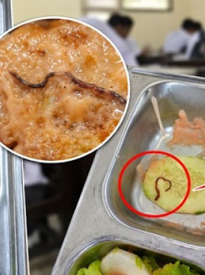 Menu MBG di SMAN 1 Tapaktuan Diduga Mengandung Cacing