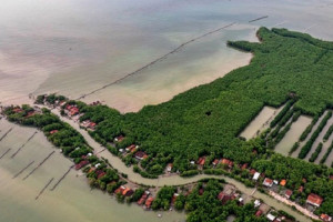 Bereskan Karhutla dengan Tata Ruang 