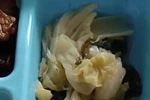Lagi, Ulat Ditemukan di Menu MBG di Jombang