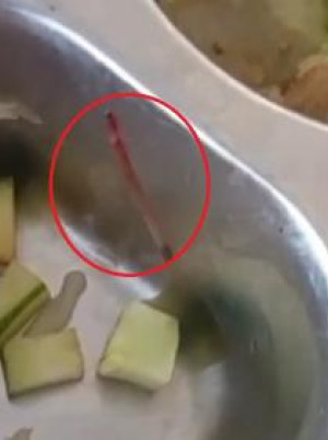 Viral Menu MBG di Pati Ditemukan Cacing dan Ulat, Plt Bupati Langsung Sidak SPPG