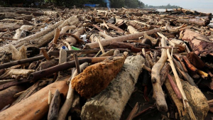 Saran JK: Berikan Kayu Gelondongan Banjir Bandang Sumatra ke Rakyat