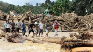 BNPB Ungkap Jumlah Korban Banjir-Longsor Sumatra, 303 Orang Meninggal Dunia