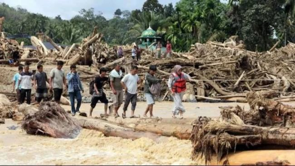 BNPB Ungkap Jumlah Korban Banjir-Longsor Sumatra, 303 Orang Meninggal Dunia