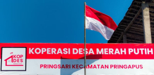 Koperasi Merah Putih sedot dana desa: Hak kesehatan masyarakat daerah terancam