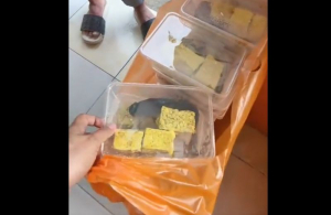 Viral Menu MBG Lele Marinasi Mentah, Pakar Unair: Menyeramkan Jika Masuk Tubuh