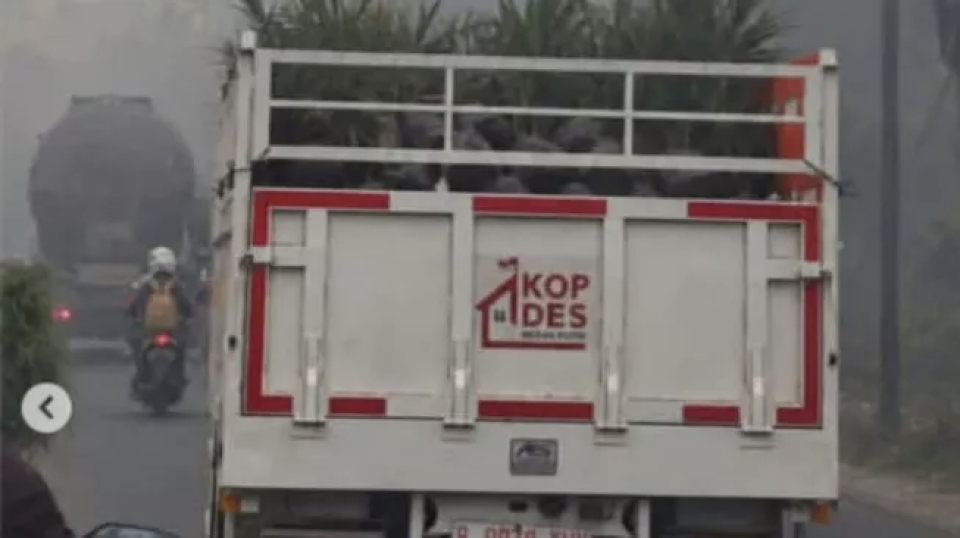 Truk kopdes angkut sawit