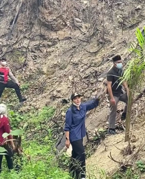 Ketahuan! Lahan Bekas Karhutla di Sumbar Malah Ditanami Sawit