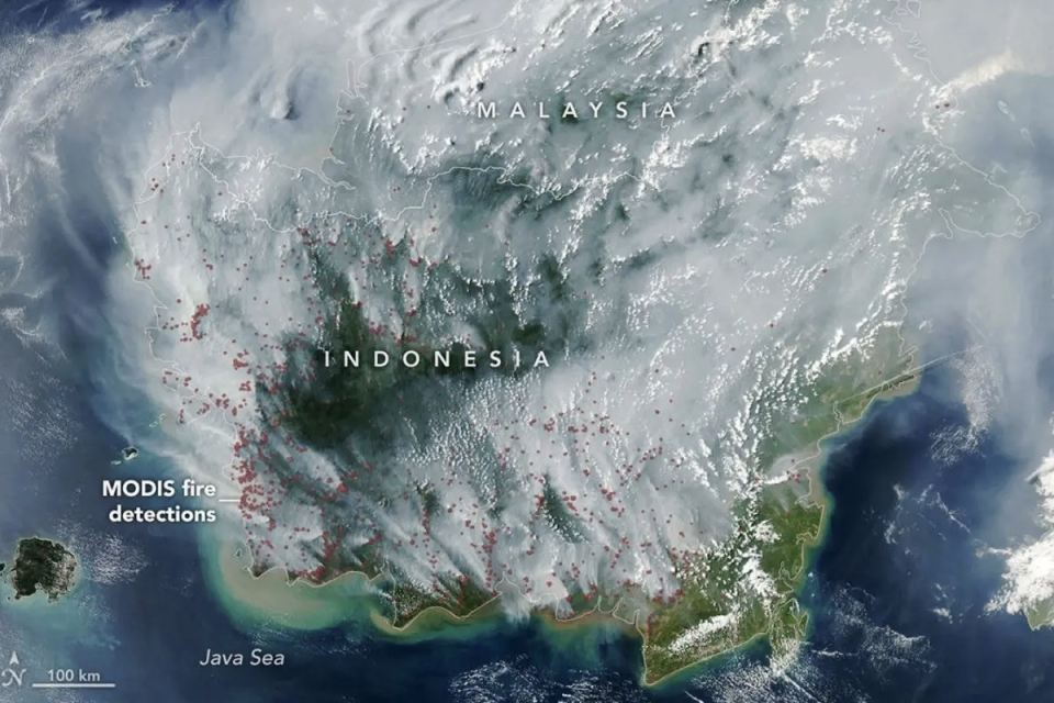 Citra satelit Aqua milik NASA pada 1 September 2026 memperlihatkan kepulan asap berwarna abu-abu menutupi sebagian besar wilayah Indonesia dan Malaysia, terutama kawasan Pulau Kalimantan.