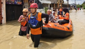 Organisasi Lingkungan Sebut Banjir dan Longsor di Sumatera Imbas Ekspansi Sawit dan HTI