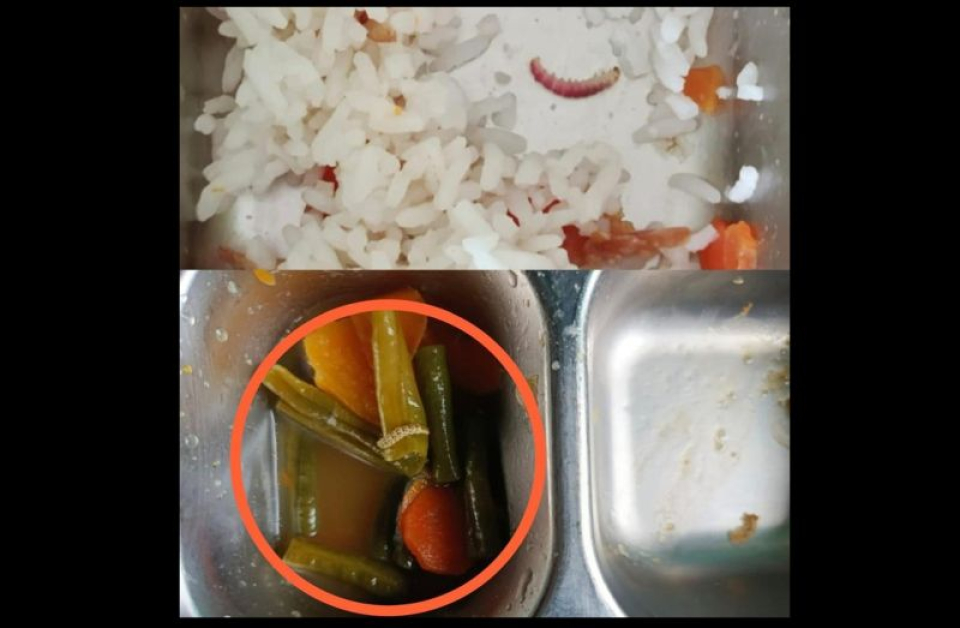 Menu MBG SD Pulau Maya Kayong Utara Dikeluhkan, Ada Nasi dan Sayuran Berulat
