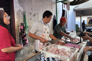Harga Ayam di Pangandaran Naik, Pedagang: Karena MBG Sudah Jalan Lagi
