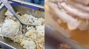 PROGRAM MBG DI BATAM - Kolase ulat dan anak kecoak dalam menu Makan Bergizi Gratis (MBG) di Kota Batam, Provinsi Kepulauan Riau (Kepri). Ombudsman RI Perwakilan Kepri menyoroti pengawasan terkait program itu. 