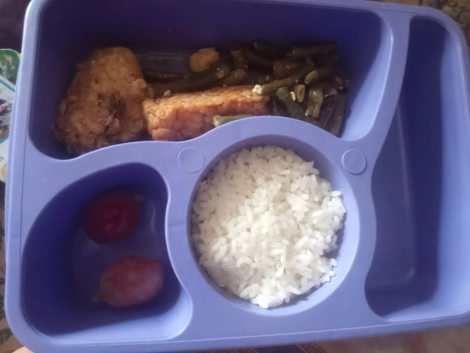 Lagi, Balita Penerima MBG di Lebak Dapat Ayam Bau
