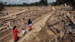 Pemerintah Wajib Membuka Akses Informasi dan Bantuan Seluas-luasnya Tangani Tragedi Kemanusiaan di Sumatera