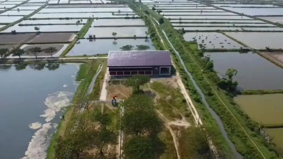 Berdiri di Tengah Tambak, Koperasi Langgenharjo Menuai Sorotan