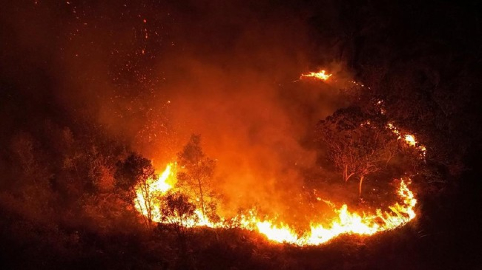 IDI Soroti Bahaya Asap Karhutla, Paparan Jangka Panjang Bisa Picu Kanker