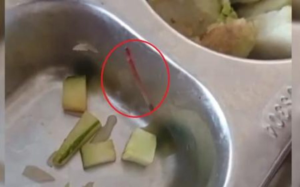 Viral Menu MBG di Pati Ditemukan Cacing dan Ulat, Plt Bupati Langsung Sidak SPPG