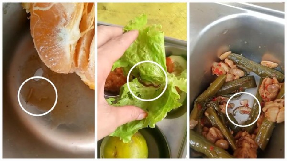 Viral Cacing-Ulat di Menu MBG Musi Rawas, Dua Desa Tolak Distribusi Makanan