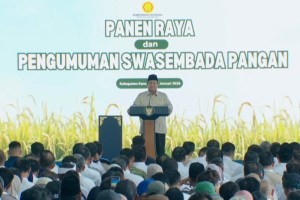 Pengamat Pertanyakan Definisi Swasembada Pangan Prabowo, Singgung Produksi Beras