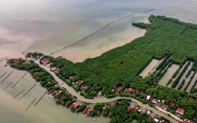 Bereskan Karhutla dengan Tata Ruang 