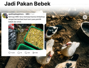 Dugaan Teror terhadap Pengkritik MBG: Ujian bagi Demokrasi dan Negara Hukum