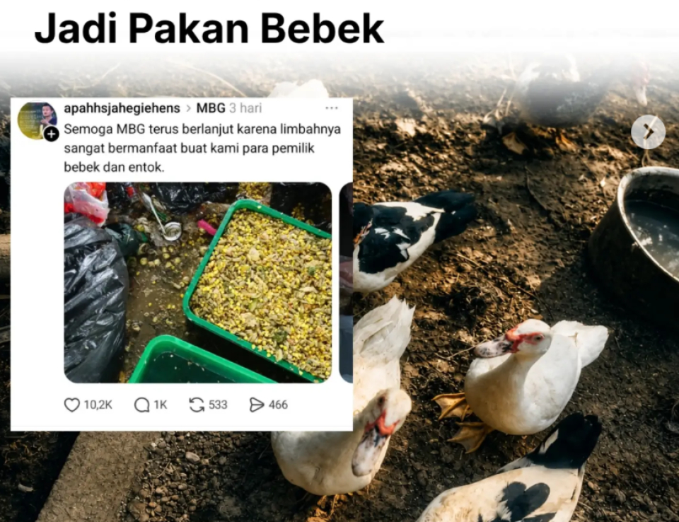 Dugaan Teror terhadap Pengkritik MBG: Ujian bagi Demokrasi dan Negara Hukum
