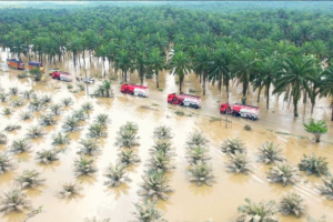 12 Perusahaan yang Diduga Perparah Banjir Sumatra